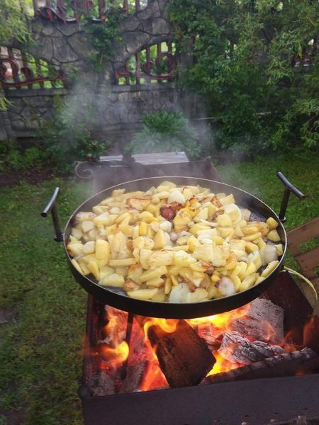Сковорода з диска борони 50 см з кришкою та чохлом (садж, пікнік) СД-50КЧ фото