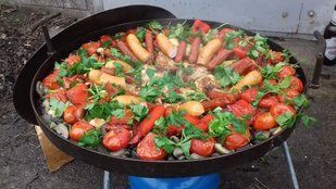 Сковорода мангал из диска бороны 60 см с крышкой (садж, пикник) СД-60К фото